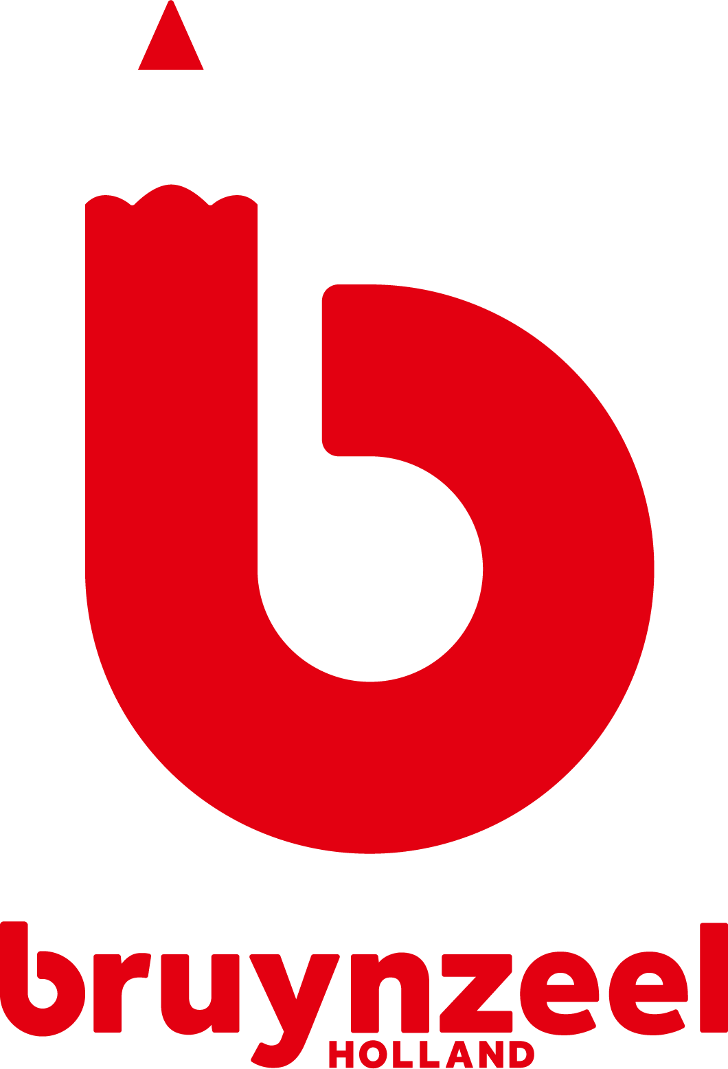 Bruynzeel logo.
