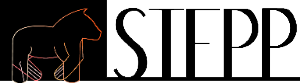 Stepp.pl logo.